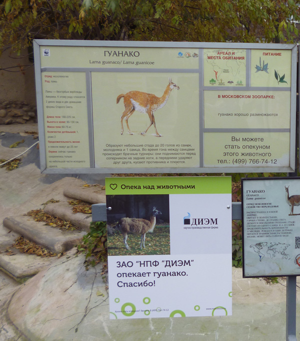 zoo3.jpg
